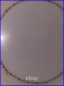 Beautiful Rare Noritake China N4353 46 Piece Minor scuffs in glaze 100 years old