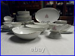 DARYL BY NORITAKE #5510 55 Piece China Dinnerware Set