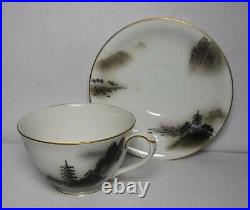 FUKAGAWA china LANDSCAPE Black/Multi-color 903 pattern 84pc SET cup/dinner/salad