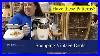 In The Wild Shopping Corningware Patterns U0026 Revealing Marks U0026 Values Thrift With Me Dr Lori