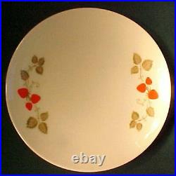 NORITAKE china BERRY TIME 6374 pattern 28-piece SET SERVICE