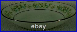 NORITAKE china SAVANNAH 2031 32-piece SET SERVICE for 4 Fruit Soup + Serving