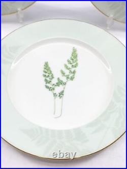 Noritake Grand Vert Plate 5 piece Set (No Box) Mint Japan