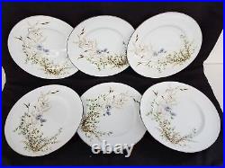 Noritake Ireland 2772 Edenderry 10.5 Dinner Plates Set of 6 Excellent