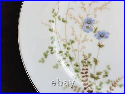 Noritake Ireland 2772 Edenderry 10.5 Dinner Plates Set of 6 Excellent