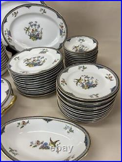 Noritake Modesta Bird Of Paradise 12-7 Pc Place Settings & Serving Pieces MINT