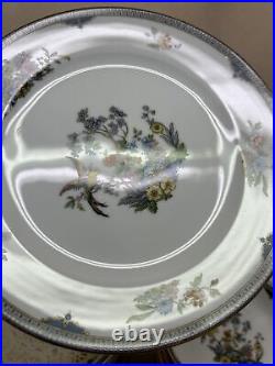 Noritake Modesta Bird Of Paradise 12-7 Pc Place Settings & Serving Pieces MINT