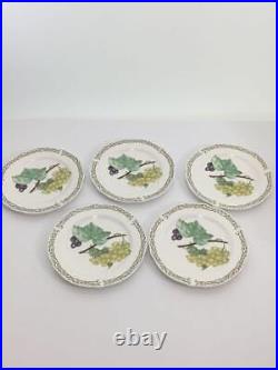 Noritake Orchard Garden Plate 6 piece Set (No Box) Mint Japan