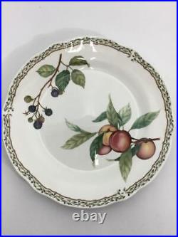 Noritake Orchard Garden Plate 6 piece Set (No Box) Mint Japan