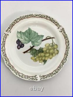 Noritake Orchard Garden Plate 6 piece Set (No Box) Mint Japan
