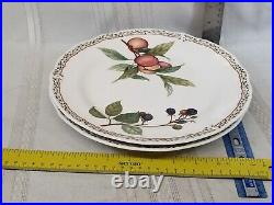 Noritake Royal Orchard Dinner Plates Set of 2 Primachina #9416