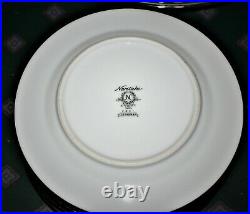 Noritake Savannah (Rim, Platinum) Dinnerware set