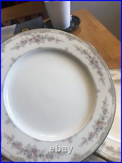 Noritake Shenandoah Bone China Dinner Plates Set Of Eight Free Shipping