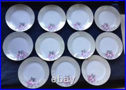 Old Noritake set of Antique 1 Platte and 11 Small Plates Rose Motif 1934-1950