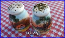 Rare Noritake China Tea Cup Plate Set Salt Pepper Shakers Mini Hand Paintd Japan